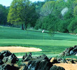 Forest Park