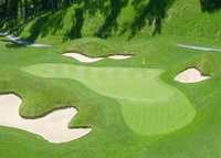Forest Greens GC