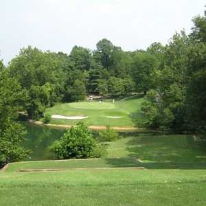 Pine Ridge GC: #8