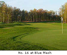 No. 16 at Blue Mash