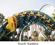Busch Gardens