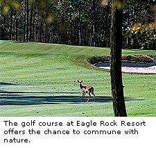 Eagle Rock Resort