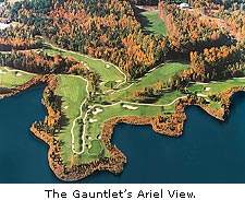 The Gauntlet