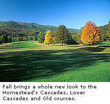 The Homestead