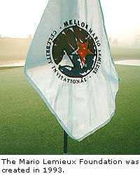 The Mario Lemieux  Foundation