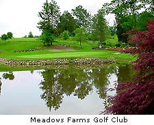 Meadows Farms Golf