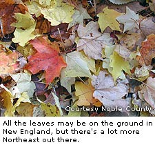 New England Golf