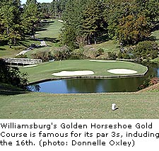 Golden Horseshoe Gold