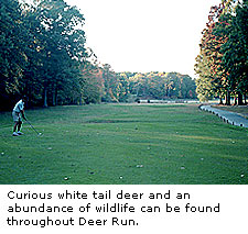 Deer Run
