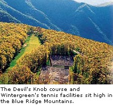 Devils Knob