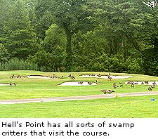 Hell's Point Golf Club