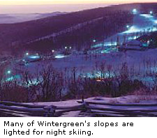 Wintergreen