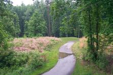 Forest Greens Golf Club, Triangle